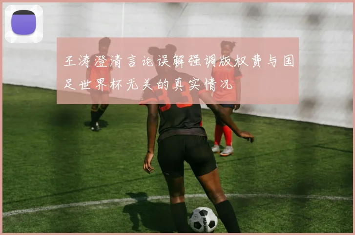 王涛澄清言论误解强调版权费与国足世界杯无关的真实情况